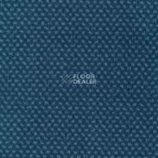 Ковролин Sintelon Podium 45813 фото 1 | FLOORDEALER