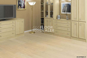 Wood OAK CREME фото 3 | FLOORDEALER