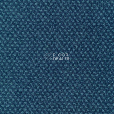 Ковролин Sintelon Podium 45813 фото 1 | FLOORDEALER