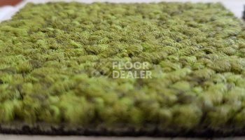 Ковровая плитка Desso Rock Образец фото 1 | FLOORDEALER