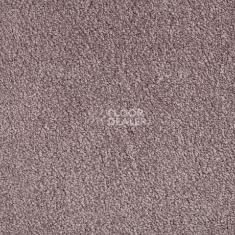 AW Passion AW Passion  16 фото 2 | FLOORDEALER
