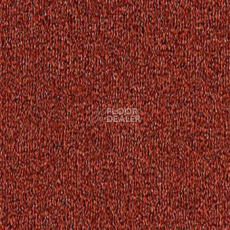 Ковролин Balta ITC Campus 1016 фото 1 | FLOORDEALER