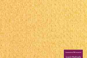 Линолеум Tarkett Iq Granit Multisafe 3476751 фото  | FLOORDEALER