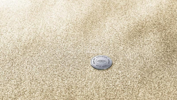 Ковролин Vorwerk Essential 1076 Vorwerk 8k11 фото 1 | FLOORDEALER