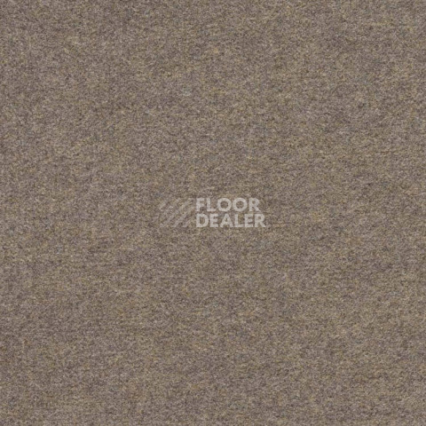 Ковролин Finett Feinwerk 403514 фото 1 | FLOORDEALER