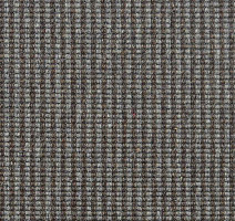 Ковролин Carpet Concept Goi 3 270607 фото 1 | FLOORDEALER