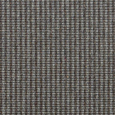 Ковролин Carpet Concept Goi 3 270607 фото 1 | FLOORDEALER
