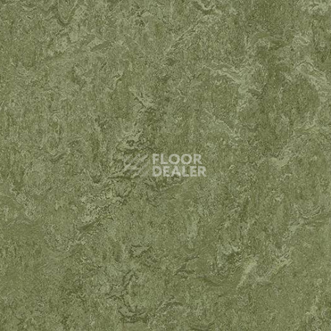 Кварцвиниловые полы Forbo Marmoleum Modular Colour 3255 фото 1 | FLOORDEALER