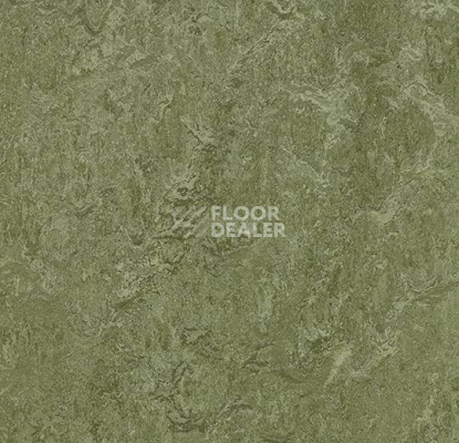 Кварцвиниловые полы Forbo Marmoleum Modular Colour 3255 фото 1 | FLOORDEALER