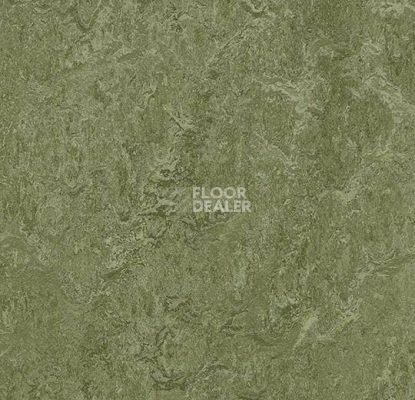 Кварцвиниловые полы Marmoleum Modular Colour 3255 фото 1 | FLOORDEALER