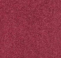 Ковролин Vorwerk Passion 1004 Vorwerk 1m06 фото 1 | FLOORDEALER