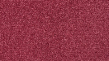 Ковролин Vorwerk Passion 1004 Vorwerk 1m06 фото 1 | FLOORDEALER