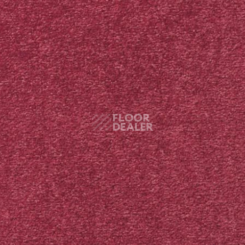 Ковролин Vorwerk Passion 1004 Vorwerk 1m06 фото 1 | FLOORDEALER