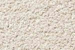 Ковролин Vorwerk Exclusive1009/Elara 6c59 фото  | FLOORDEALER