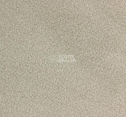 Ковролин Edel Ambition 129 фото 1 | FLOORDEALER