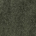 Ковролин AW Daydream AW Daydream  24  | FLOORDEALER