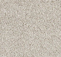 Ковролин Lano Euphoria Eup 0880 фото 1 | FLOORDEALER