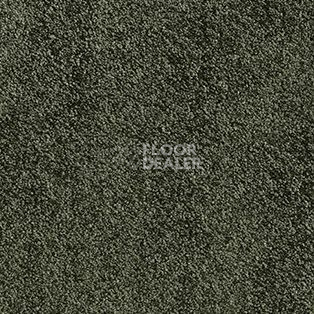 Ковролин AW Daydream AW Daydream  24 фото 1 | FLOORDEALER