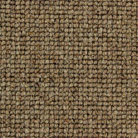 Ковролин Edel Centre Point 137 фото 1 | FLOORDEALER