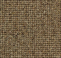 Ковролин Edel Centre Point 137 фото 1 | FLOORDEALER