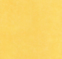 Линолеум Forbo Smaragd Lux Fr 6351 фото 1 | FLOORDEALER