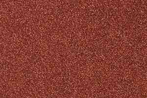 Ковролин Balta ITC Optima SDE new 64 фото  | FLOORDEALER