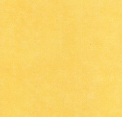 Линолеум Forbo Smaragd Lux Fr 6351 фото 1 | FLOORDEALER