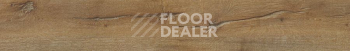 FineFloor FF-2000 Rich 2081 Дуб Гавана фото 2 | FLOORDEALER