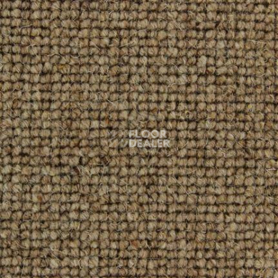 Ковролин Edel Centre Point 137 фото 1 | FLOORDEALER