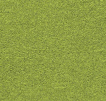 Ковровая плитка Tessera Layout & Outline 2120 / 2120 pl Apple фото 1 | FLOORDEALER