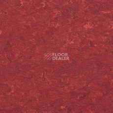 Линолеум Marmorette DLW  2mm 0018 Lobster Red фото 1 | FLOORDEALER