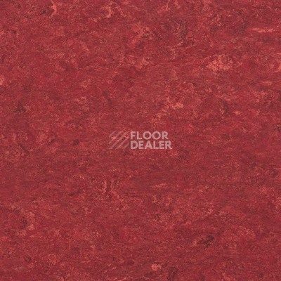 Линолеум Marmorette DLW  2mm 0018 Lobster Red фото 1 | FLOORDEALER