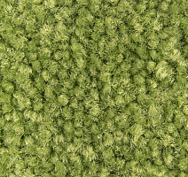 Balsan Bolero 244 фото 2 | FLOORDEALER