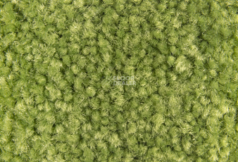 Balsan Bolero 244 фото 2 | FLOORDEALER