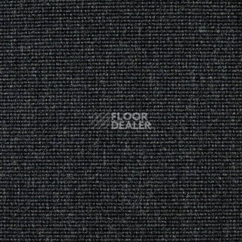 Ковролин Carpet Concept Eco 500 6915 фото 1 | FLOORDEALER
