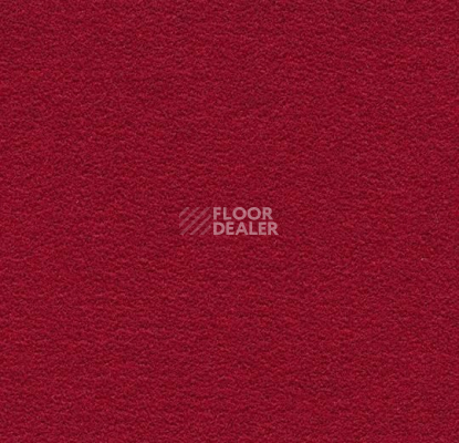 Ковролин Flotex wonderlab 07 900286 Ruby фото 1 | FLOORDEALER