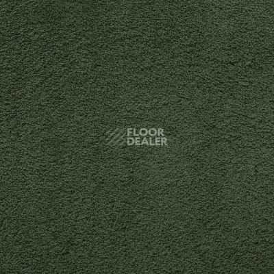 Ковролин AW Masquerade Lamia 24 фото 1 | FLOORDEALER