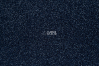 Innova Фризе 7079 фото 2 | FLOORDEALER