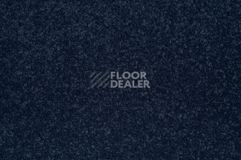 Innova Фризе 7079 фото 2 | FLOORDEALER