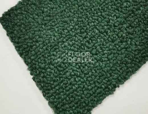 Ковролин Нева Тафт Астра 46 фото 1 | FLOORDEALER