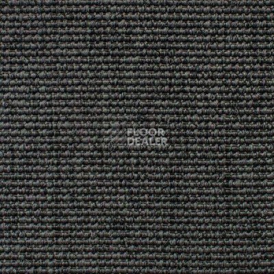 Ковролин Carpet Concept Eco Iqu 54372 фото 1 | FLOORDEALER