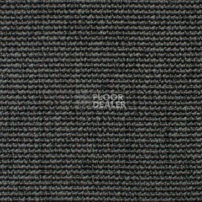 Ковролин Carpet Concept Eco Iqu 54372 фото 1 | FLOORDEALER
