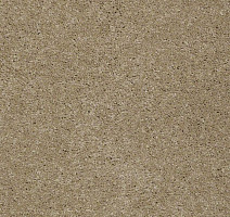 Ковролин Shaw Design Texture Platinum 707 фото 1 | FLOORDEALER