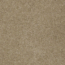 Shaw Design Texture Platinum 707 фото 1 | FLOORDEALER