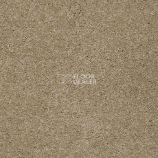 Ковролин Shaw Design Texture Platinum 707 фото 1 | FLOORDEALER