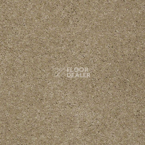 Ковролин Shaw Design Texture Platinum 707 фото 1 | FLOORDEALER