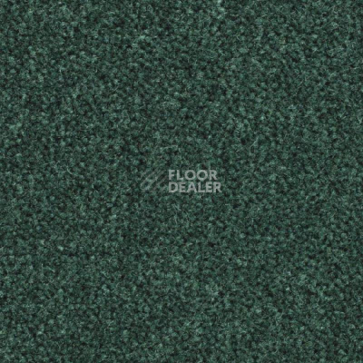 Ковролин Balsan Majestic 286 фото 1 | FLOORDEALER