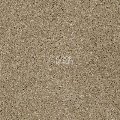 Ковролин Shaw Design Texture Platinum 707 фото 1 | FLOORDEALER