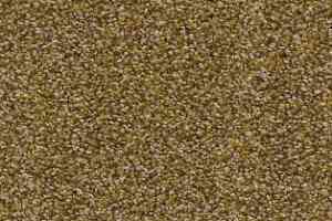 Ковролин AW Timeless 59 фото  | FLOORDEALER