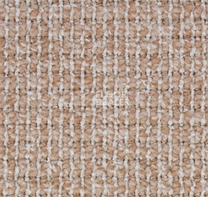 Ковролин Betap Plato_new Plato 910 фото 1 | FLOORDEALER